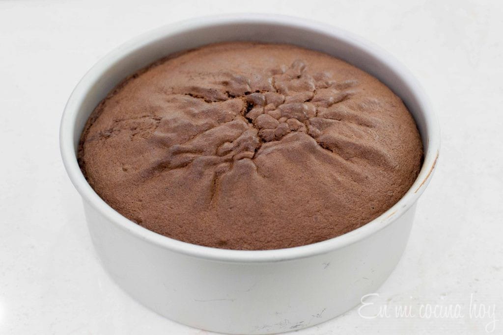 Chocolate Genoise Cake