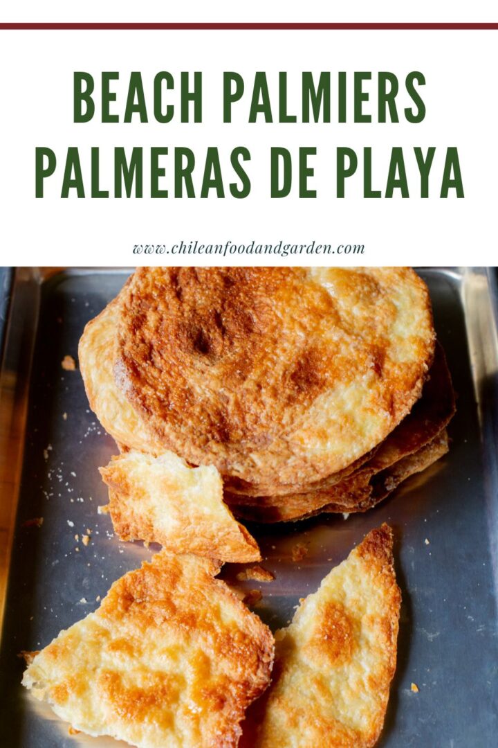 Beach Palmiers - Pilar's Chilean Food & Garden